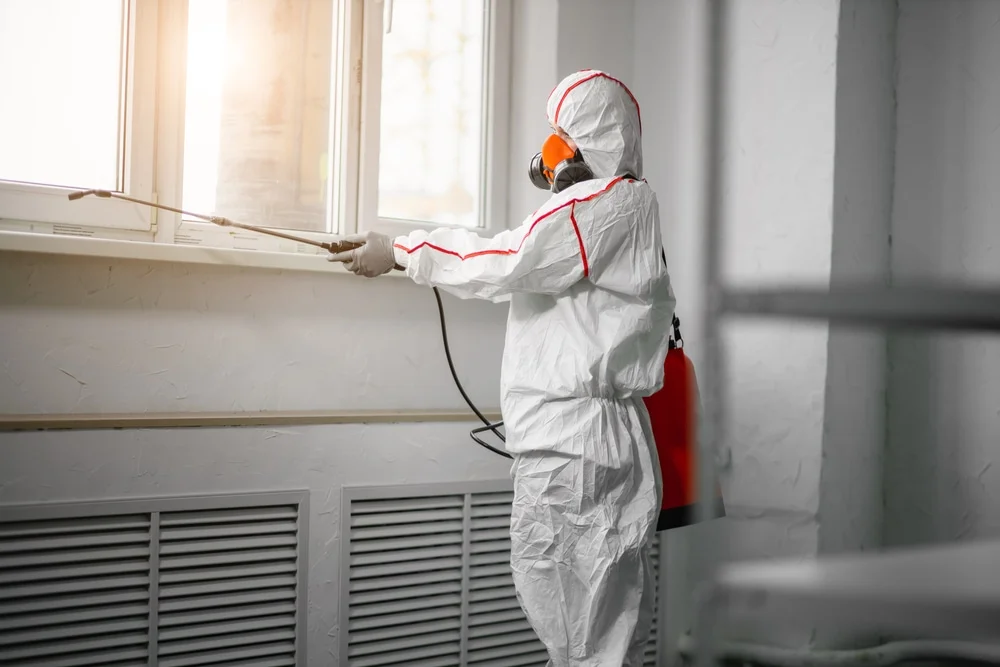 Professional mold remediation services in New Vienna, OH